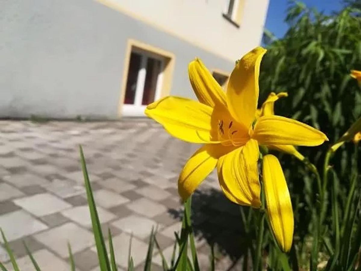 דירות באד זקינגן Haus Am Apfelbaum מראה חיצוני תמונה